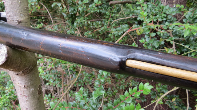 Lower forestock underside