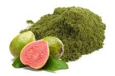 AMRUD {GUAVA}