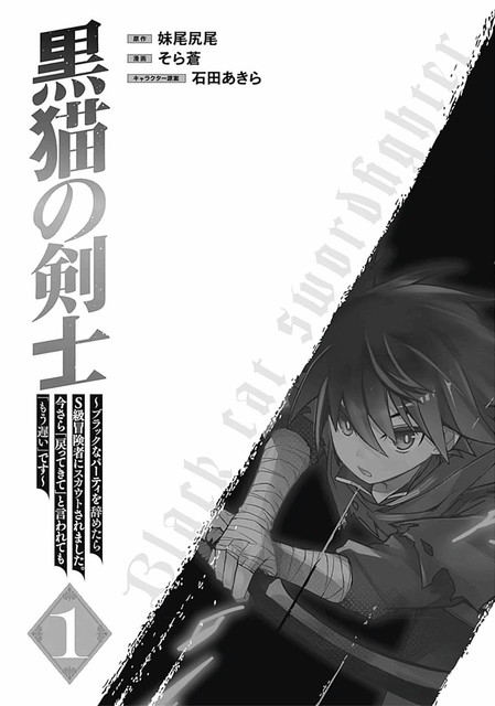 DLRAW-NET-003