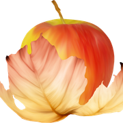 Daisy-Fairy-Elements-56