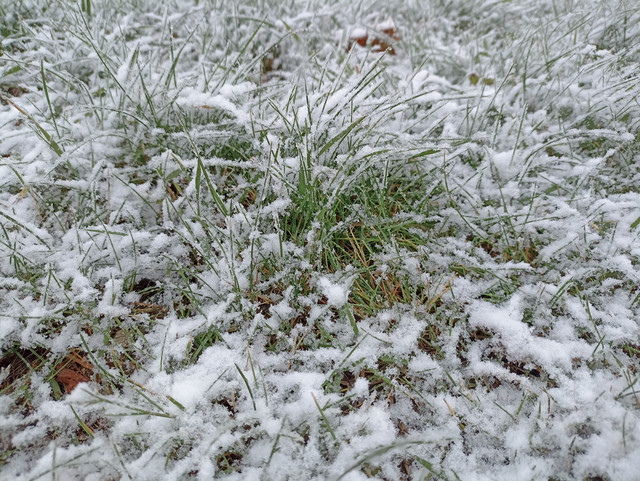 IMG-20241102-140606