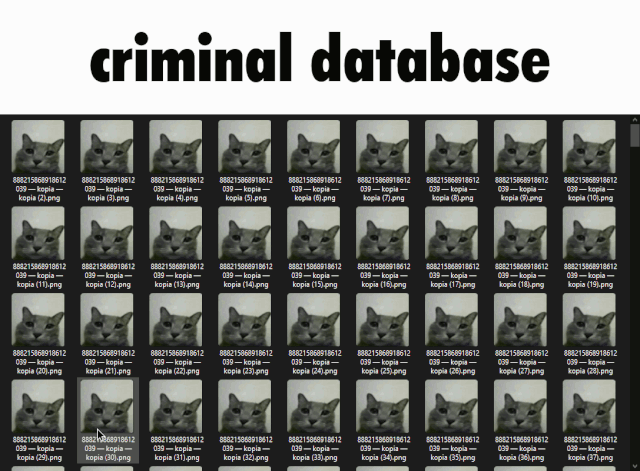 criminal-database-ca-file-explorer