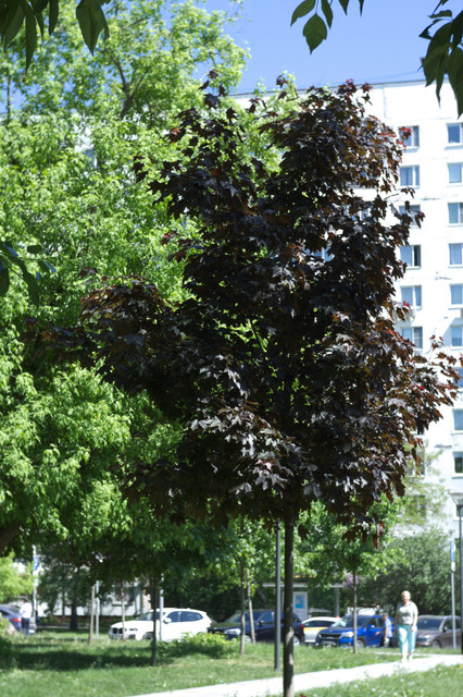 DSC3894.jpg