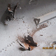 IMG-4682