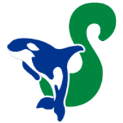 Seattle-Orcas-small-50