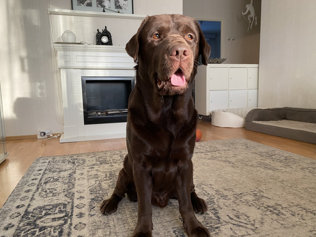 4-B359800-14-C2-4316-BBF3-C8844-B828422.