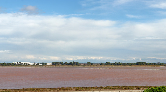 IMG-2977