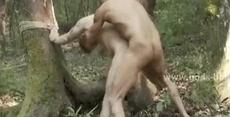 [IMAGE:https://i.ibb.co/Vtmvgpy/20230919-113541962.gif]