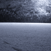 night-snowfall