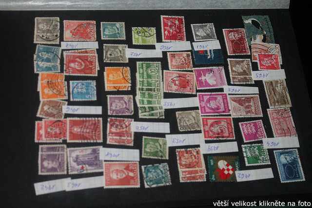 IMG-2473