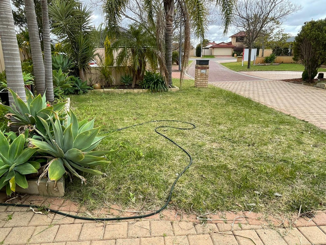 front lawn