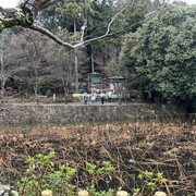 IMG-2804