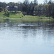 P5041499