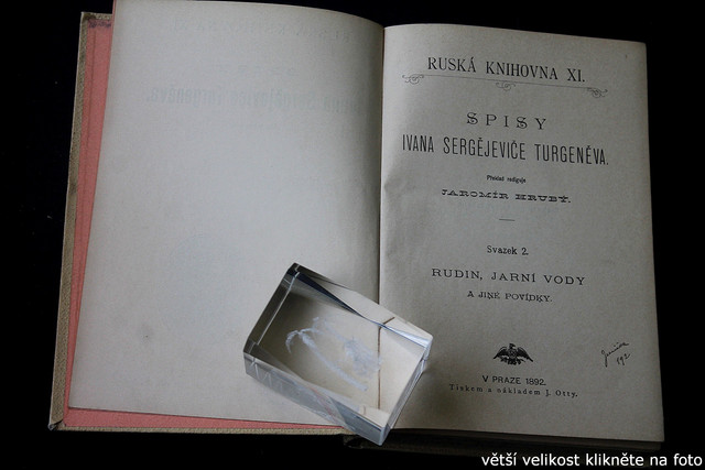 IMG-6018