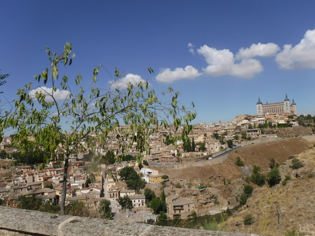 DSCF6348.jpg