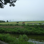 2021-07-16-384