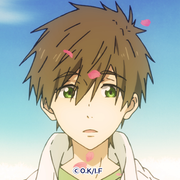 Icon-07-FS-41