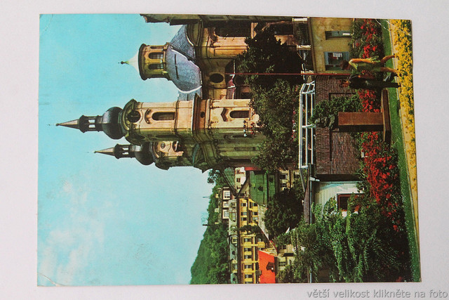 IMG-6369