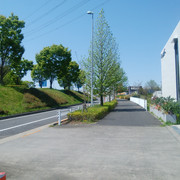 DSC-0033
