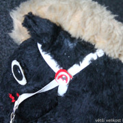 IMG-8836