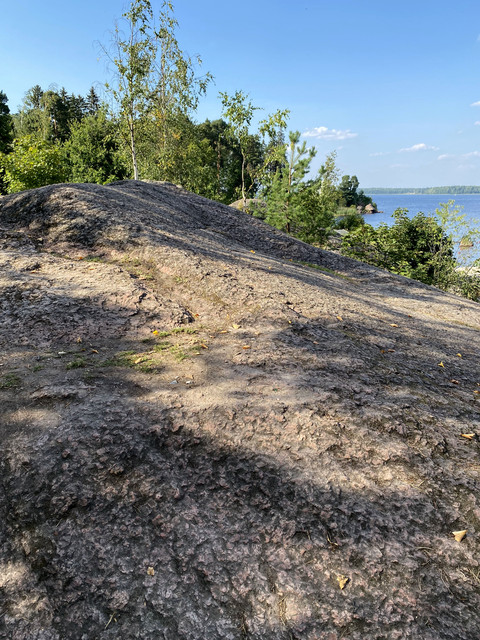 IMG-3029