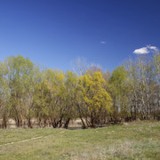 100c000940m