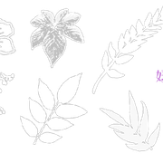 20210112-8