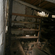 OLYMPUS-DIGITAL-CAMERA