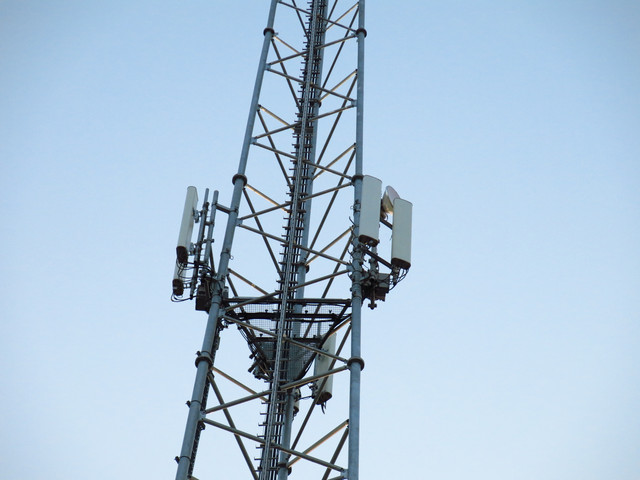 IMG-0634
