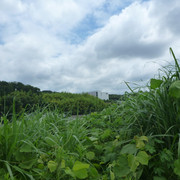 P1320420