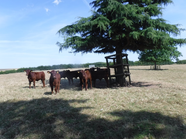 DSCF6175.jpg