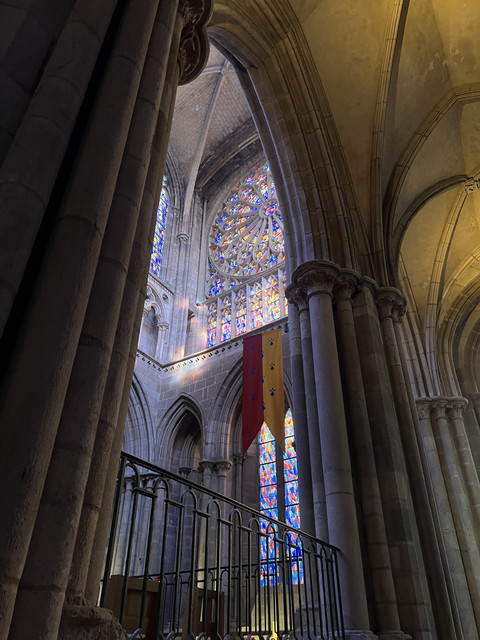 IMG-6514