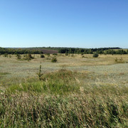 IMG-4104