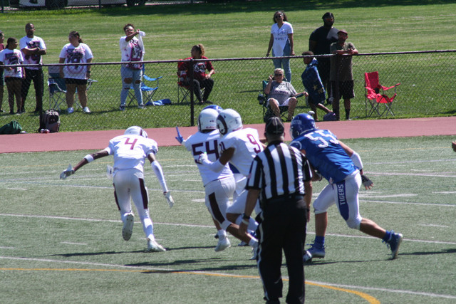 IMG-5648.jpg