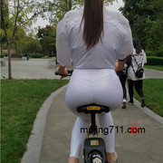 IMG-0462