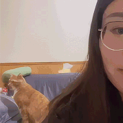 cat8