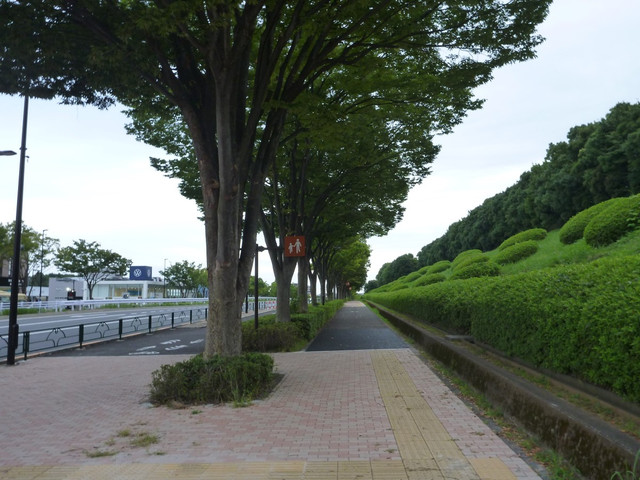 P1340919.jpg