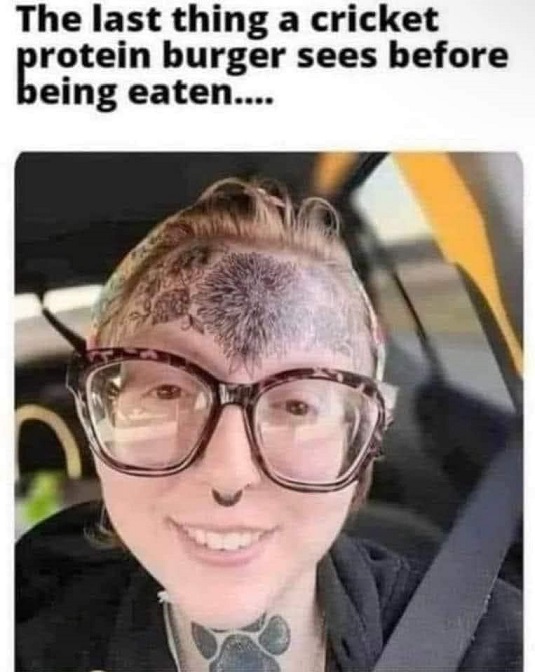 cricketburger.jpg