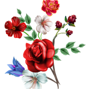 9a94edfb34252a231d3fa44eb204c039