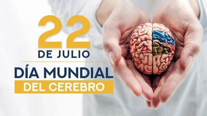 1721656657527.webp 22 DE JULIO: DÍA MUNDIAL DEL CEREBRO