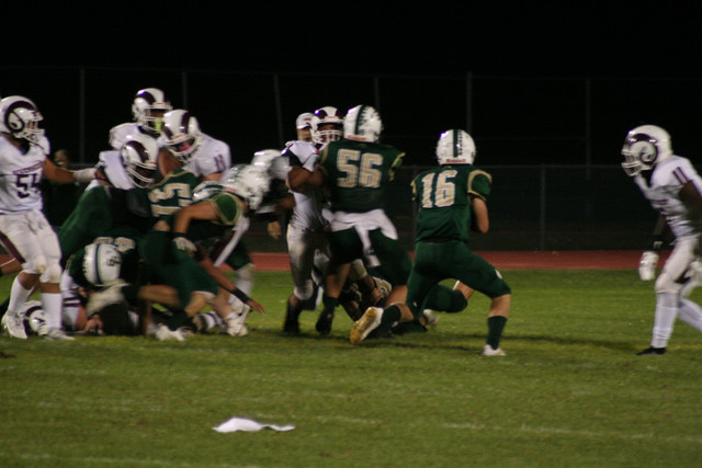 IMG-6648.jpg