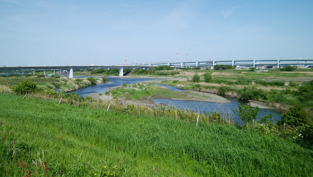 DSC-0118