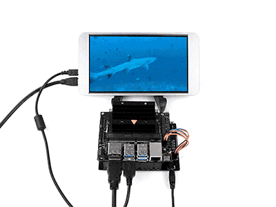 UPS-Power-Module-details-gif