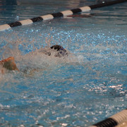 IMG-8964
