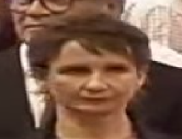 toha.png
