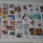 IMG-3234