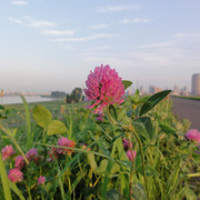 2011-06-29-46