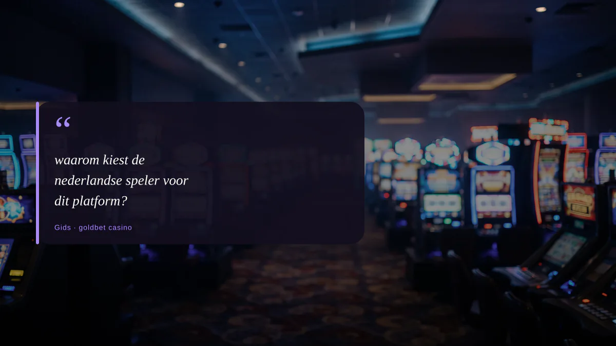 waarom kiest de nederlandse speler voor dit platform?
