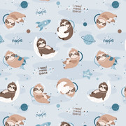 Space-Sloth