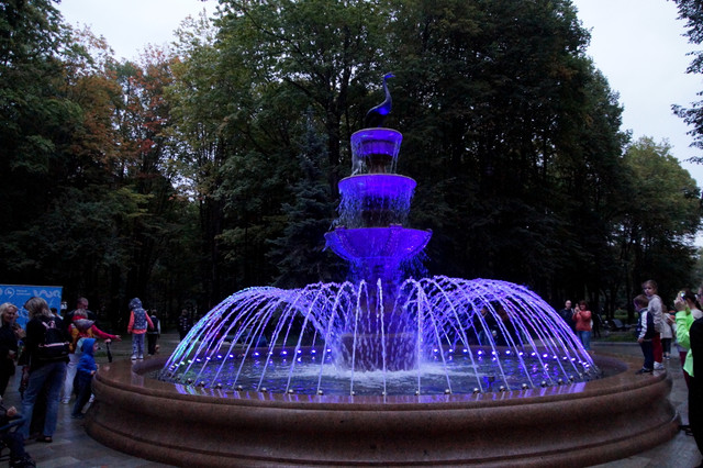 DSC07434.jpg